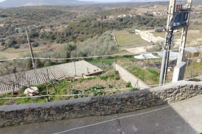 IMG_20230222_123916