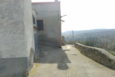 IMG_20230222_133047