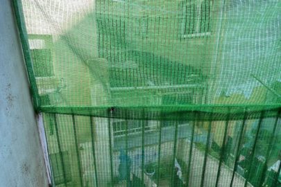 IMG-20231124-WA0025