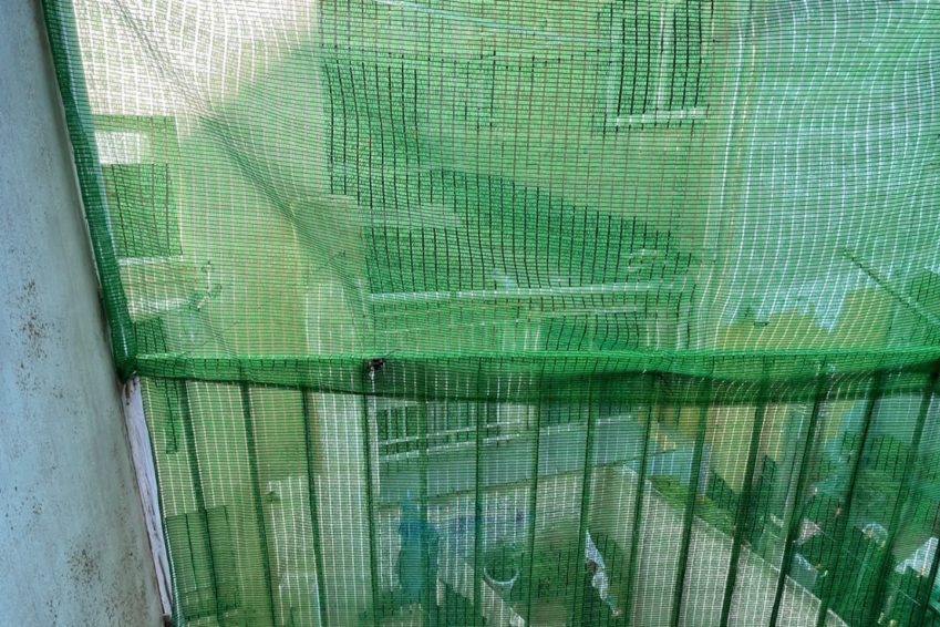 IMG-20231124-WA0025